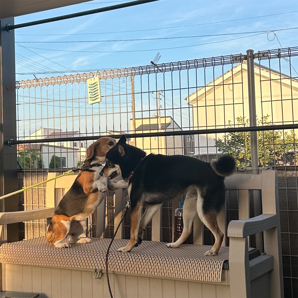 f:id:keikostyle:20250822161845j:image