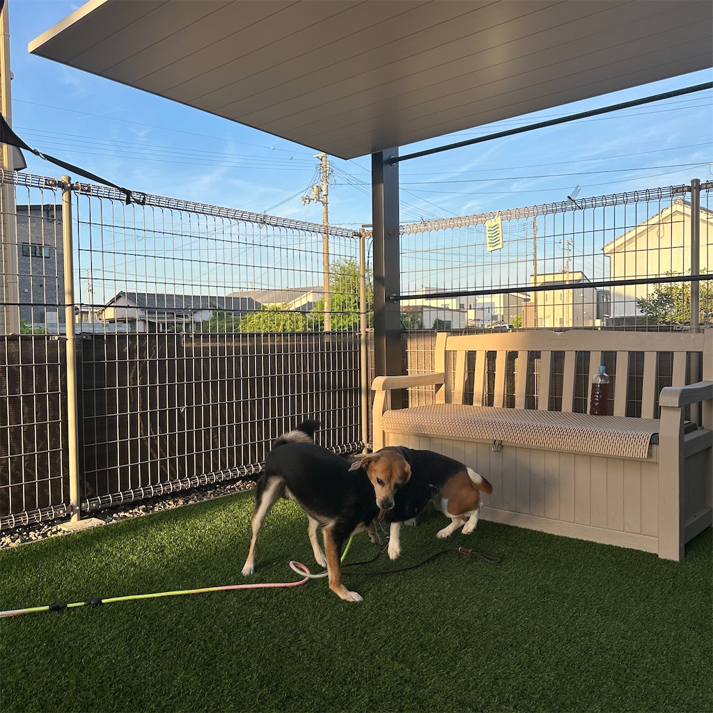 f:id:keikostyle:20250822161849j:image