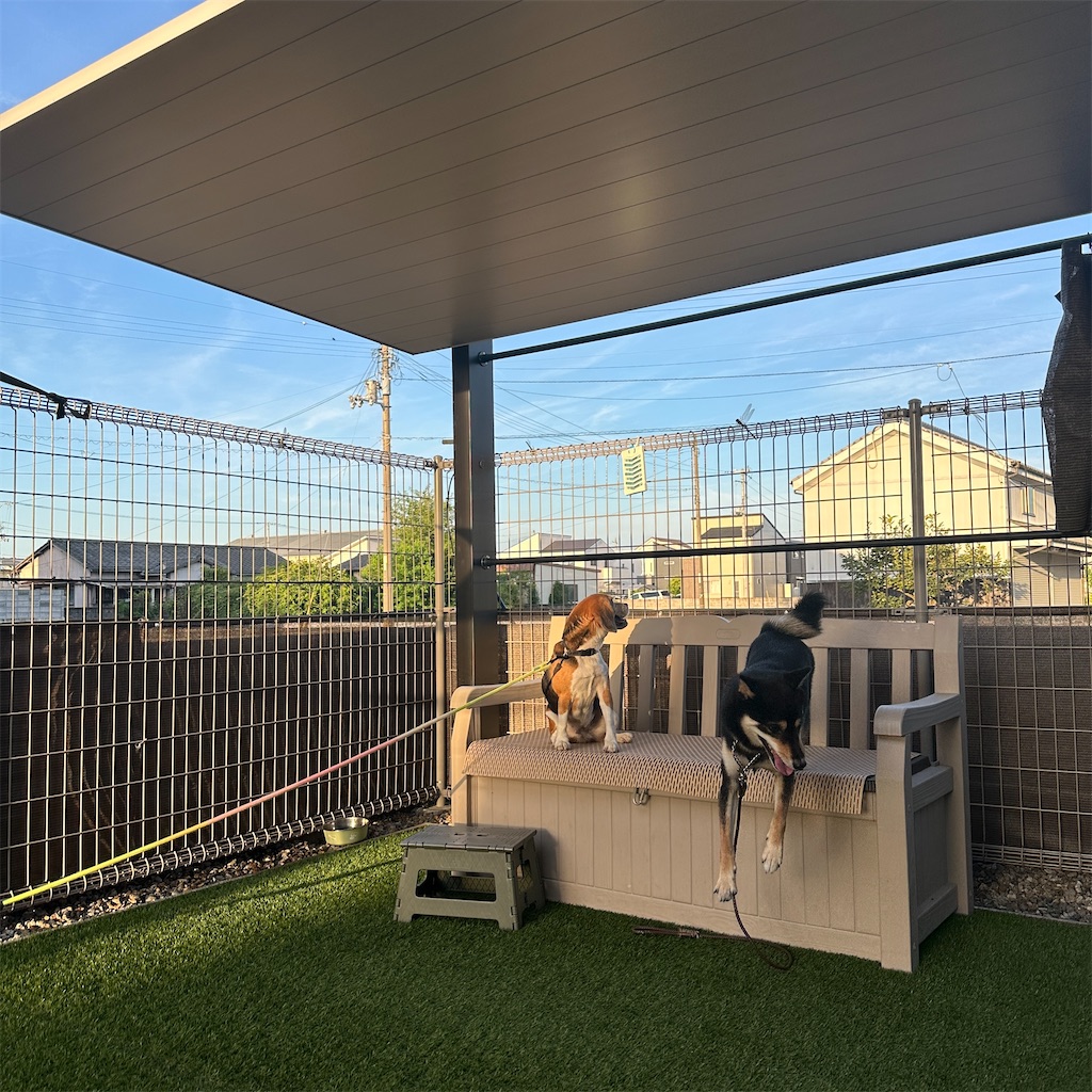 f:id:keikostyle:20250822161852j:image