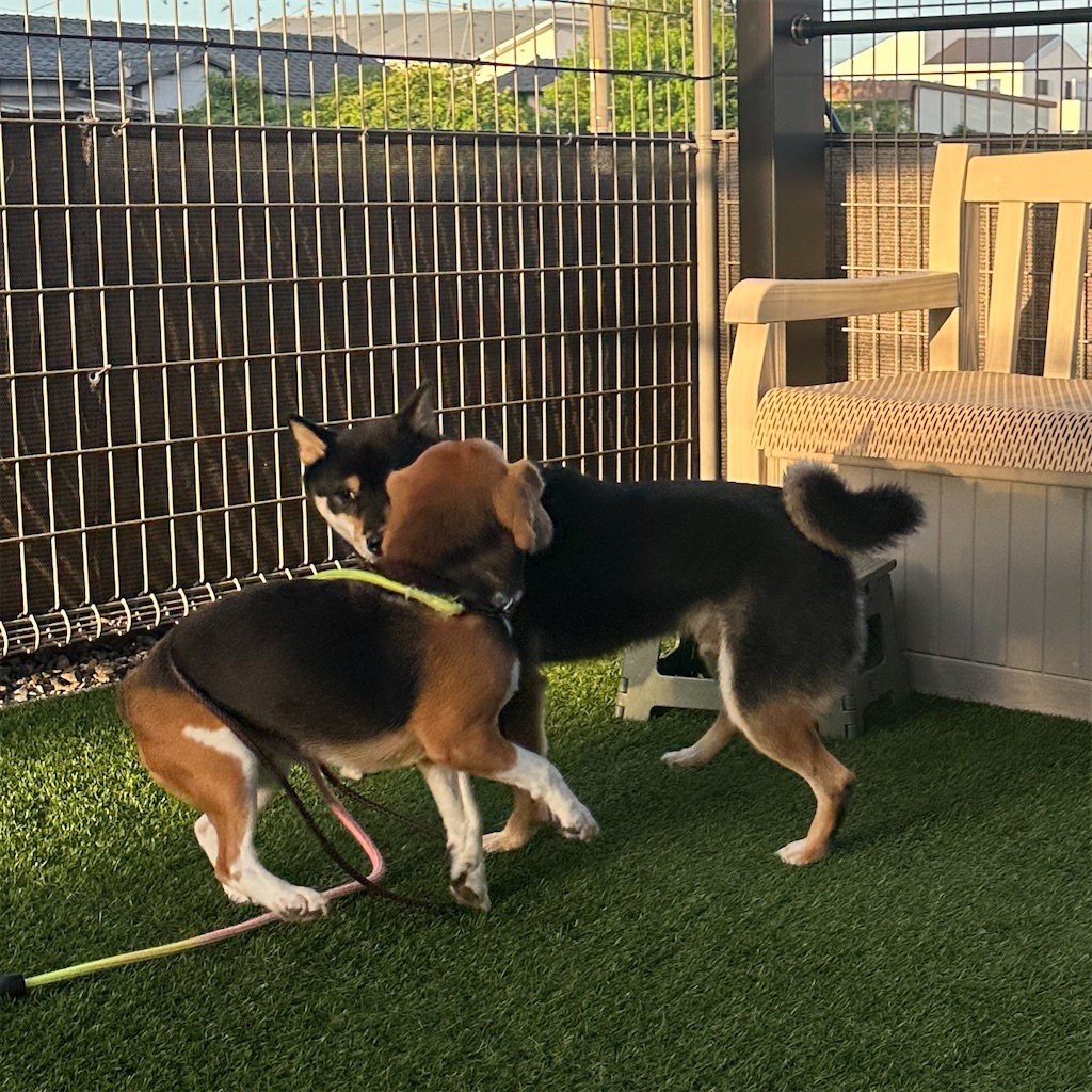 f:id:keikostyle:20250822161856j:image