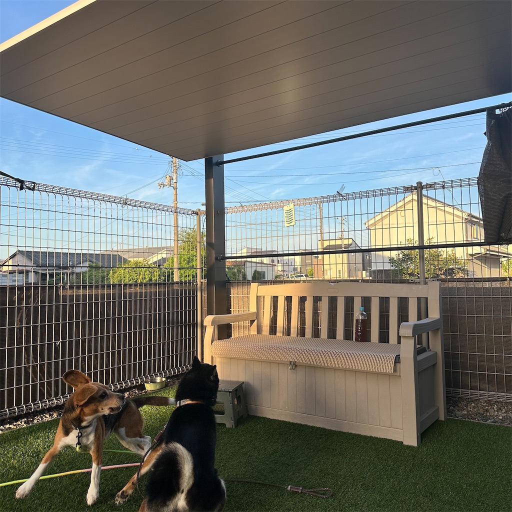 f:id:keikostyle:20250822161905j:image