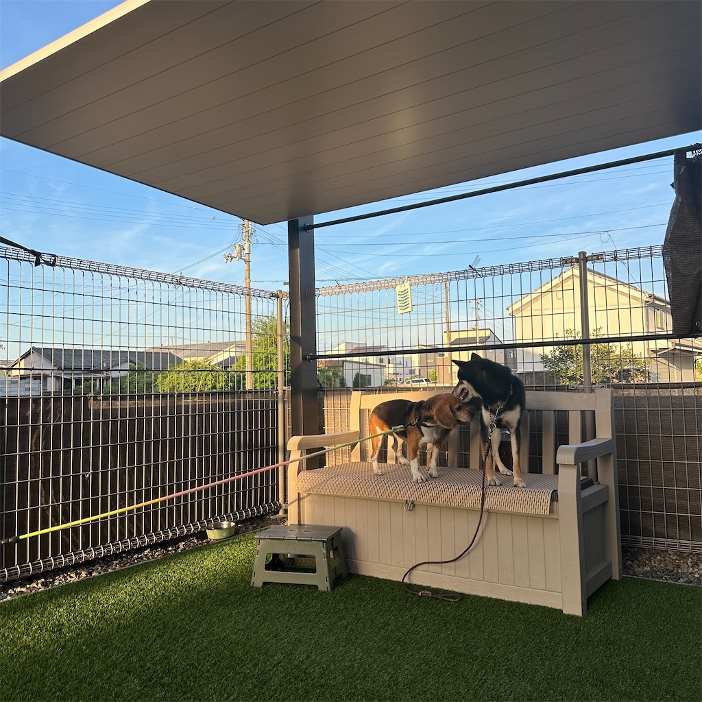 f:id:keikostyle:20250822161913j:image