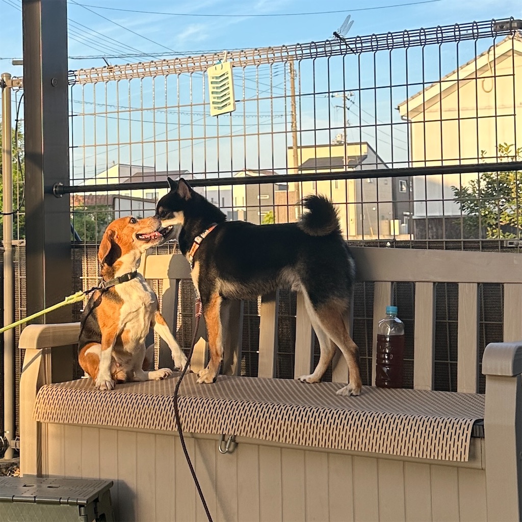 f:id:keikostyle:20250822161917j:image