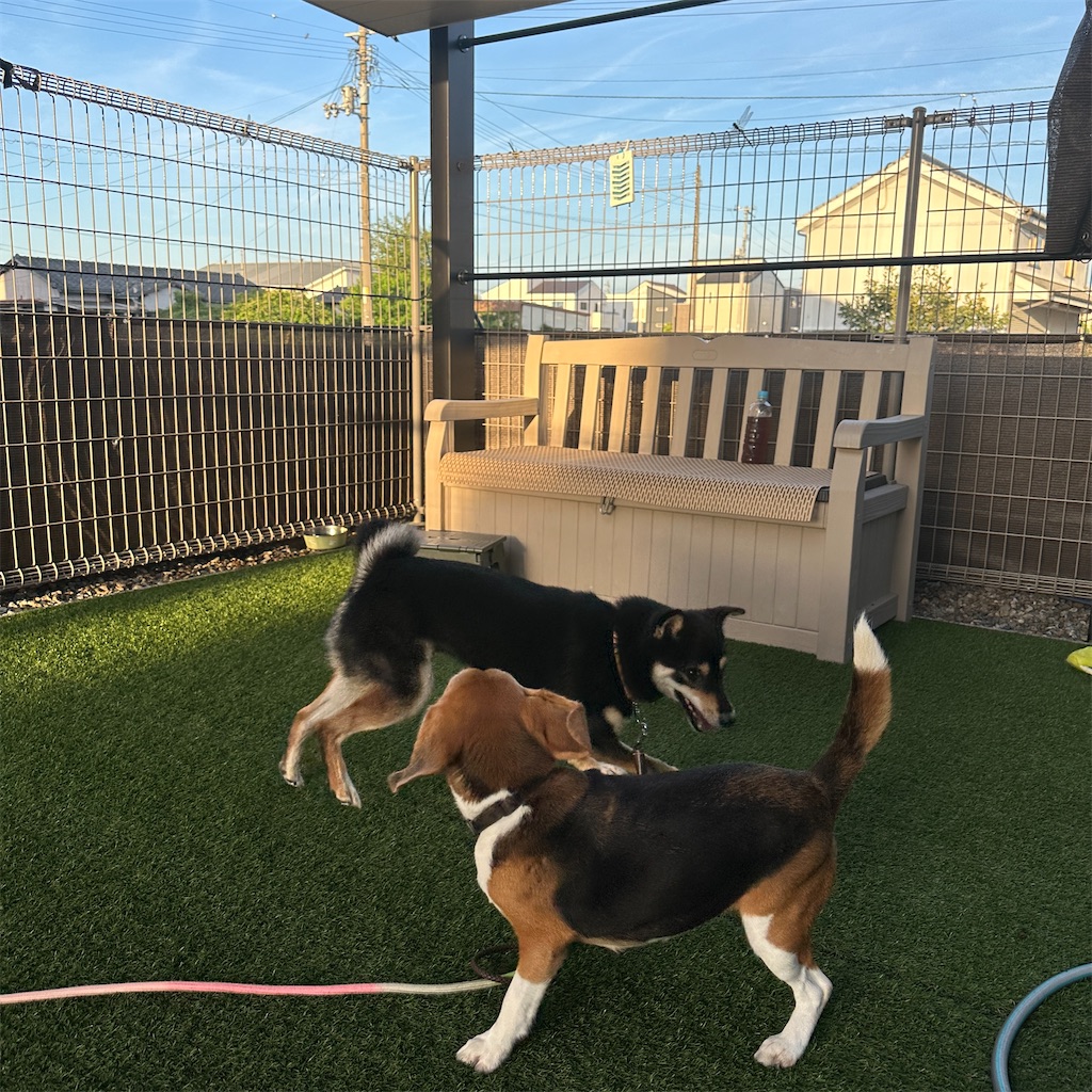 f:id:keikostyle:20250822161921j:image