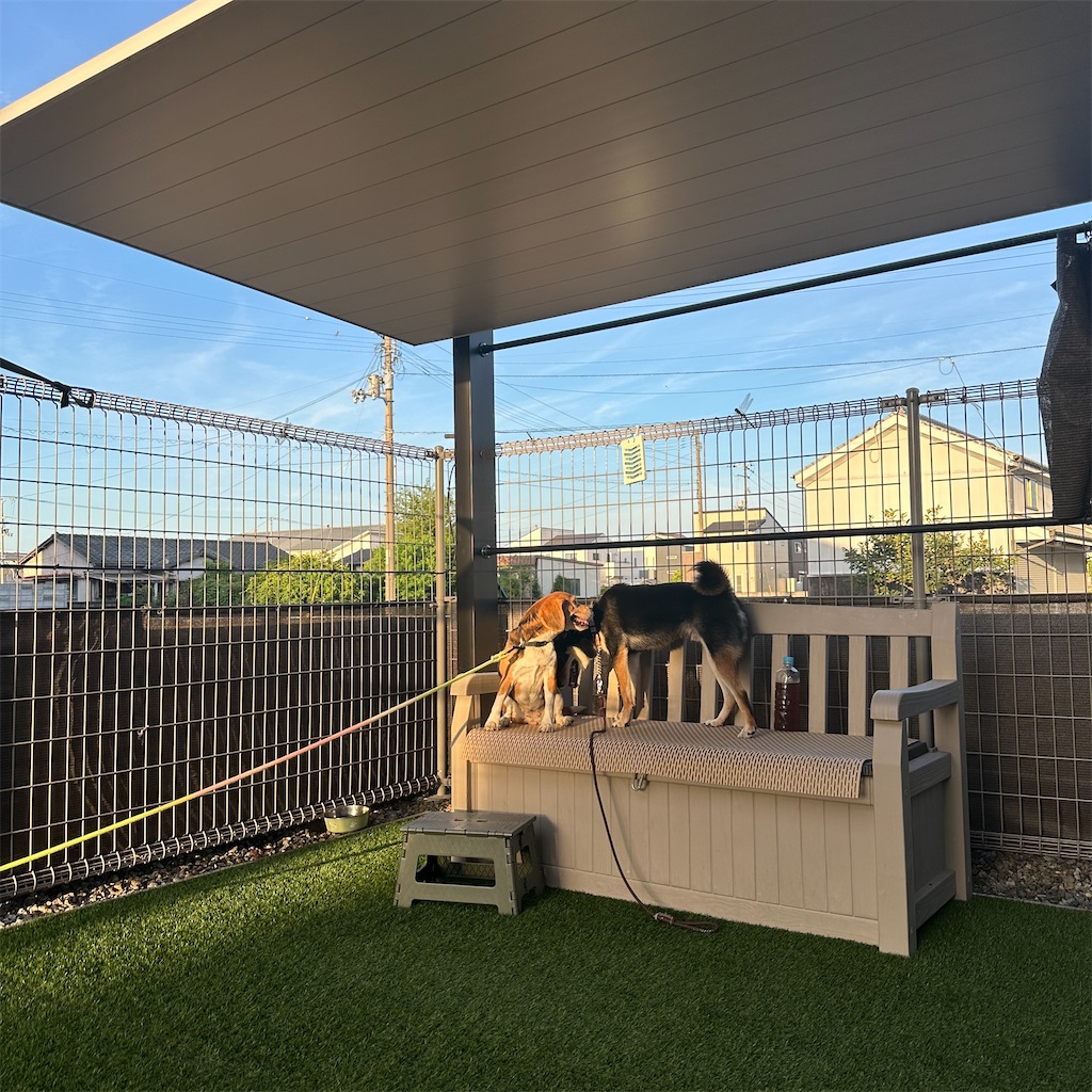 f:id:keikostyle:20250822161924j:image