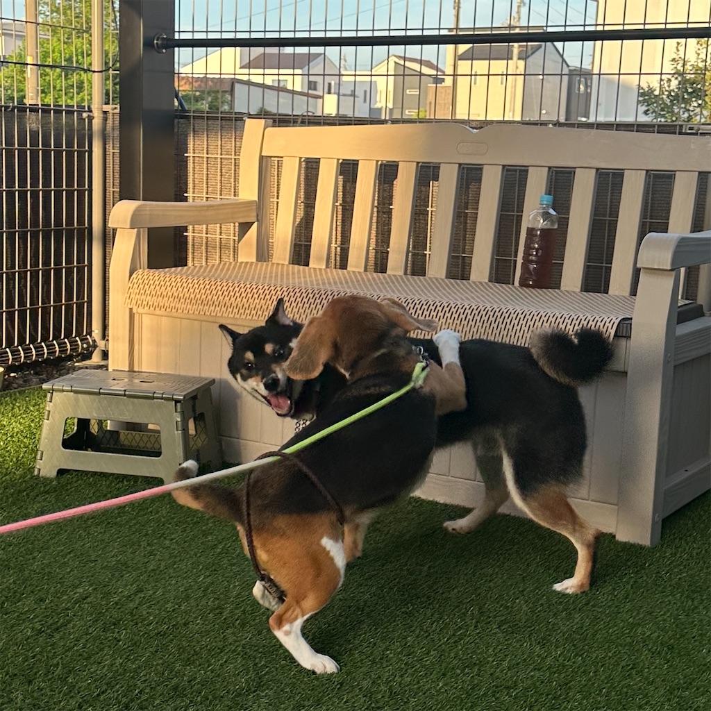 f:id:keikostyle:20250822161928j:image