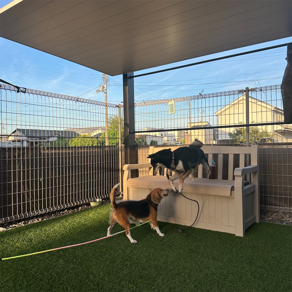 f:id:keikostyle:20250822161932j:image