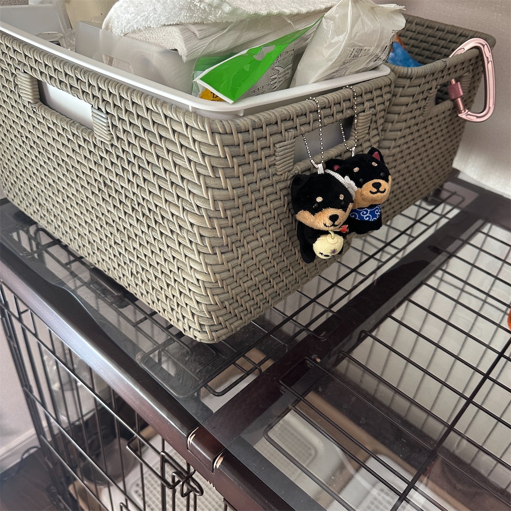 f:id:keikostyle:20250903133324j:image
