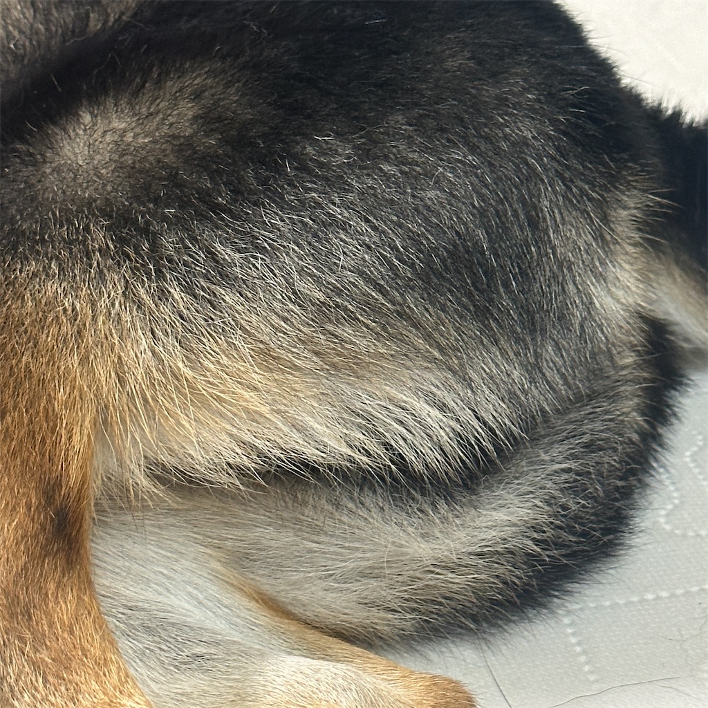 f:id:keikostyle:20250912164702j:image