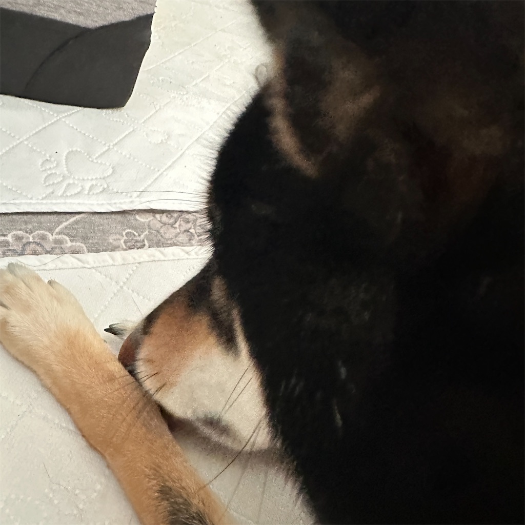 f:id:keikostyle:20250917163637j:image