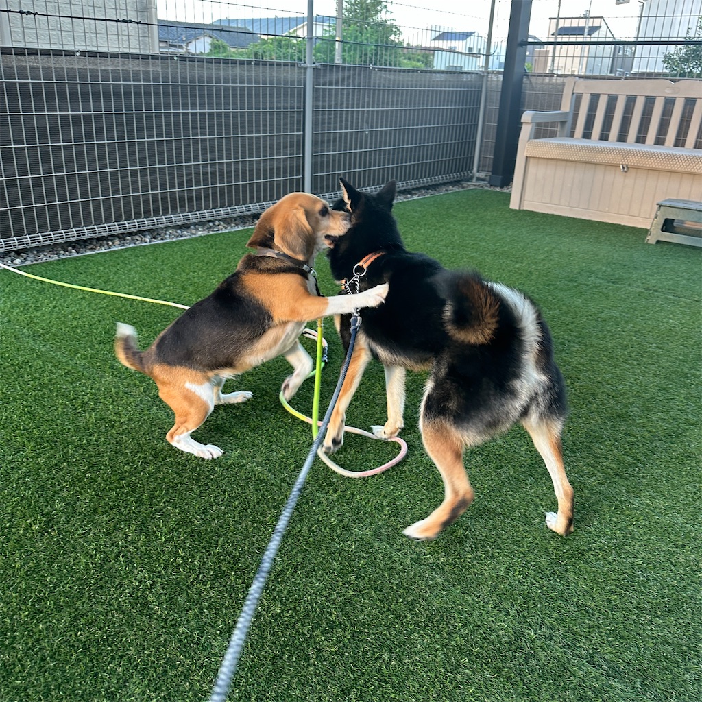 f:id:keikostyle:20250918091105j:image