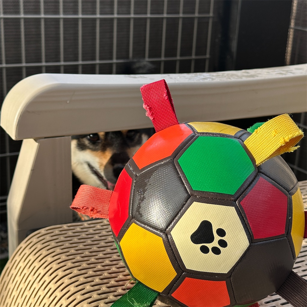 f:id:keikostyle:20250919070802j:image