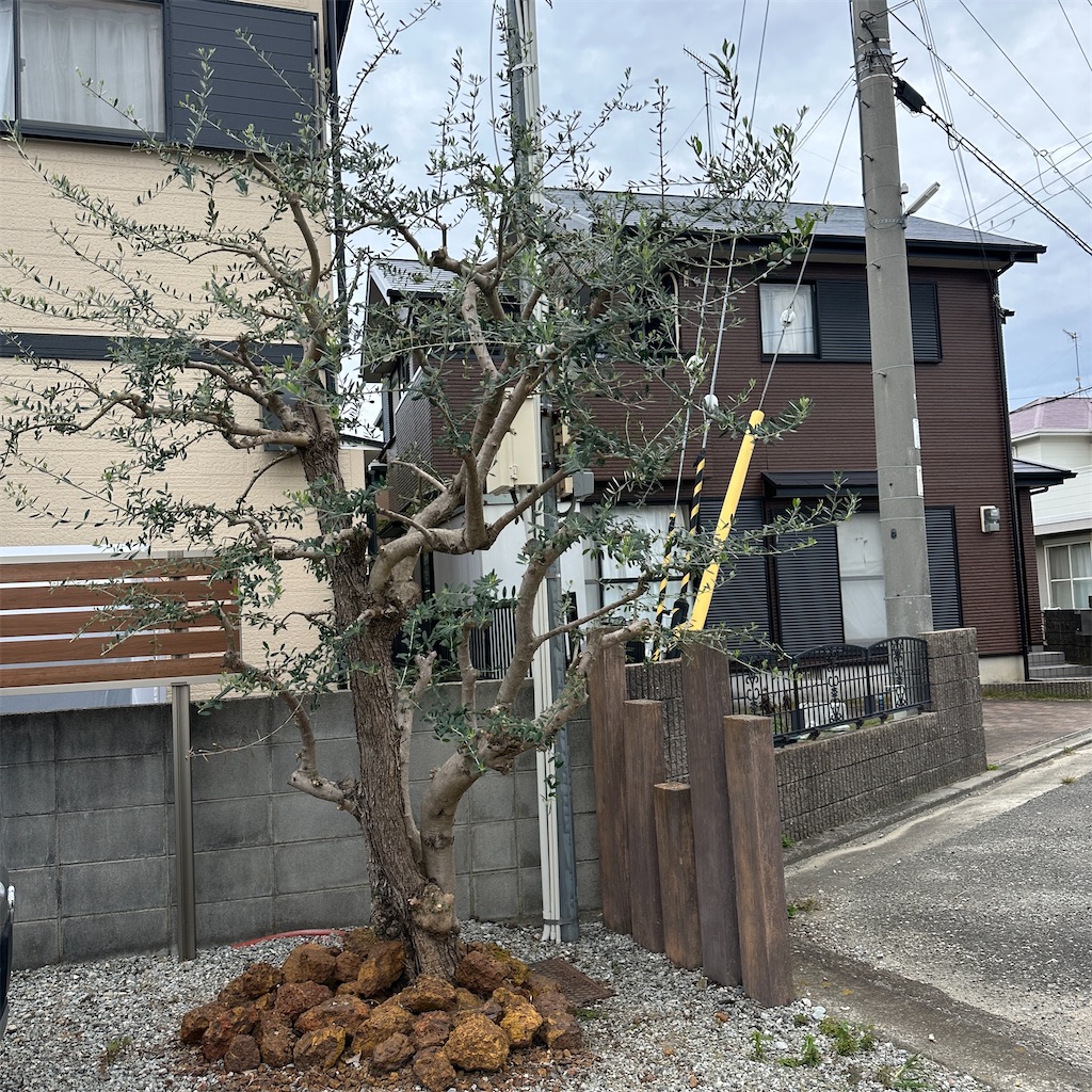 f:id:keikostyle:20251021153045j:image