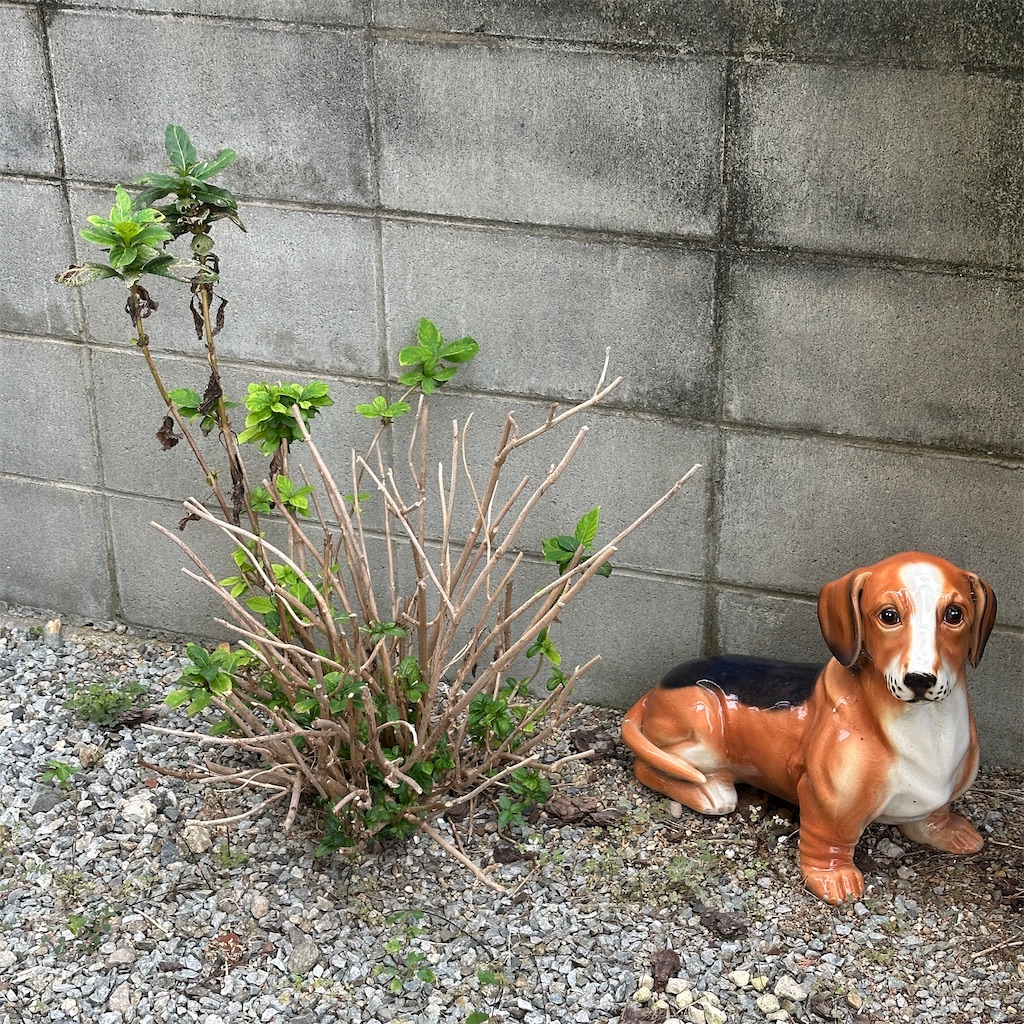 f:id:keikostyle:20251021153115j:image