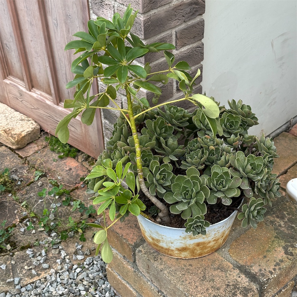 f:id:keikostyle:20251021153122j:image