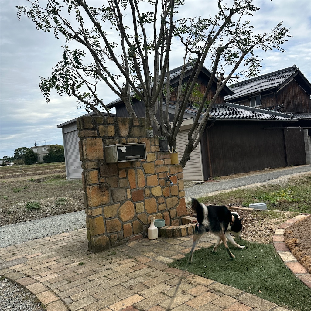f:id:keikostyle:20251021155645j:image