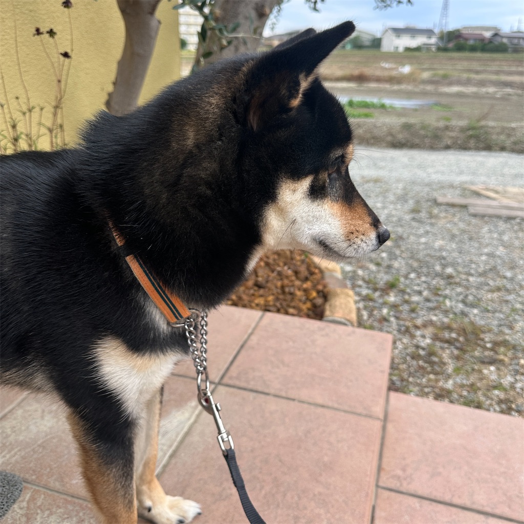 f:id:keikostyle:20251021155825j:image