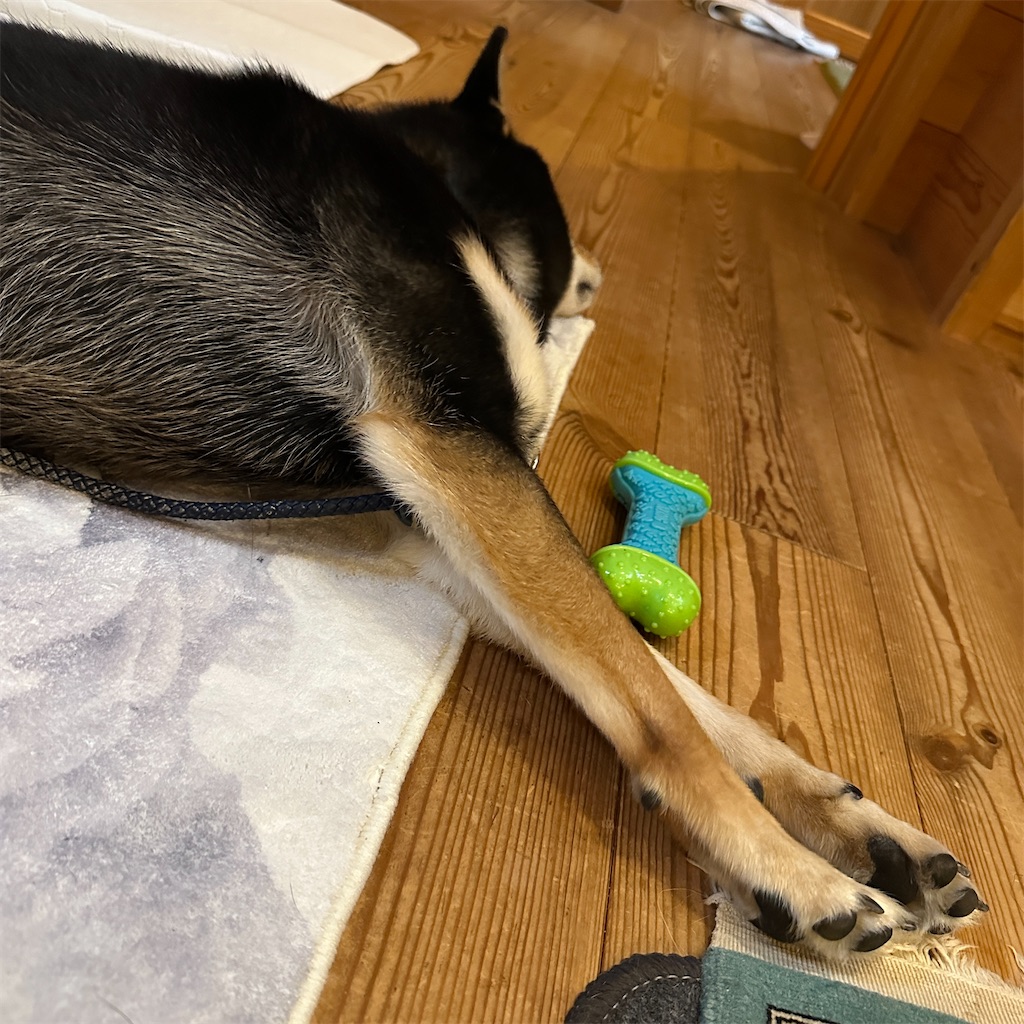 f:id:keikostyle:20251021160025j:image