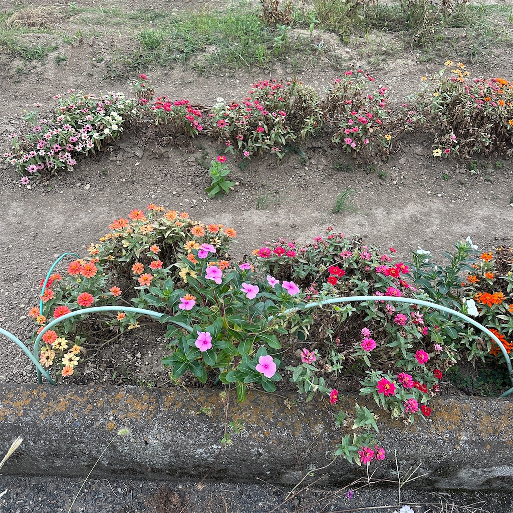 f:id:keikostyle:20251021170801j:image