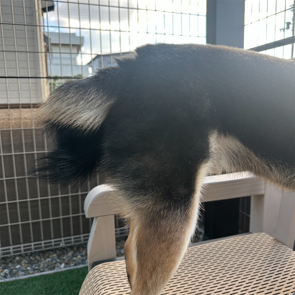 f:id:keikostyle:20251029190904j:image