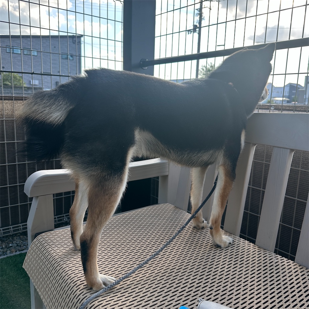 f:id:keikostyle:20251029190908j:image