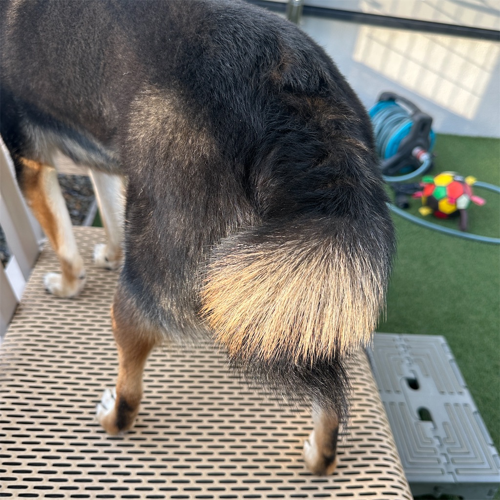 f:id:keikostyle:20251029190915j:image