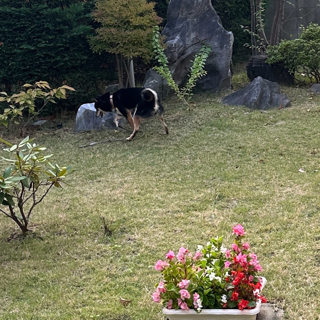 f:id:keikostyle:20251101143001j:image