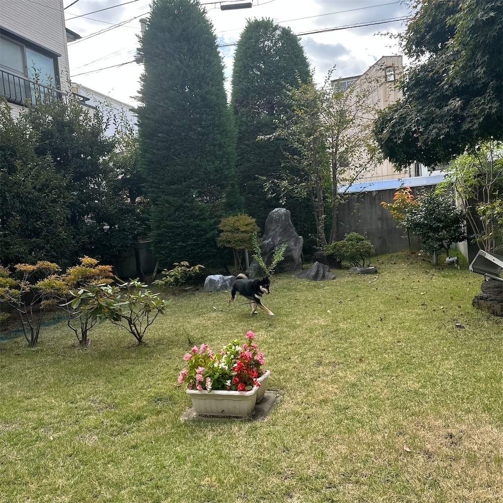 f:id:keikostyle:20251101143004j:image