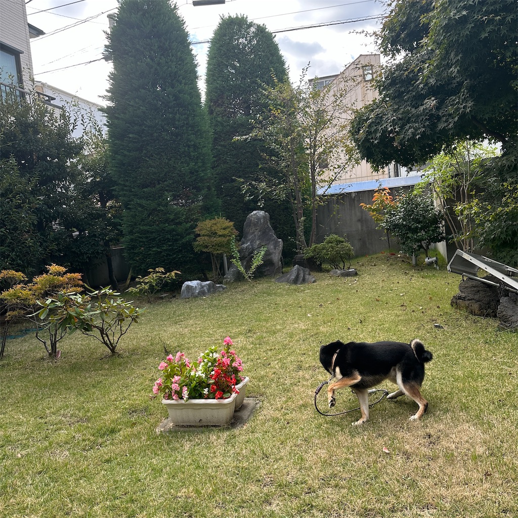 f:id:keikostyle:20251101143007j:image