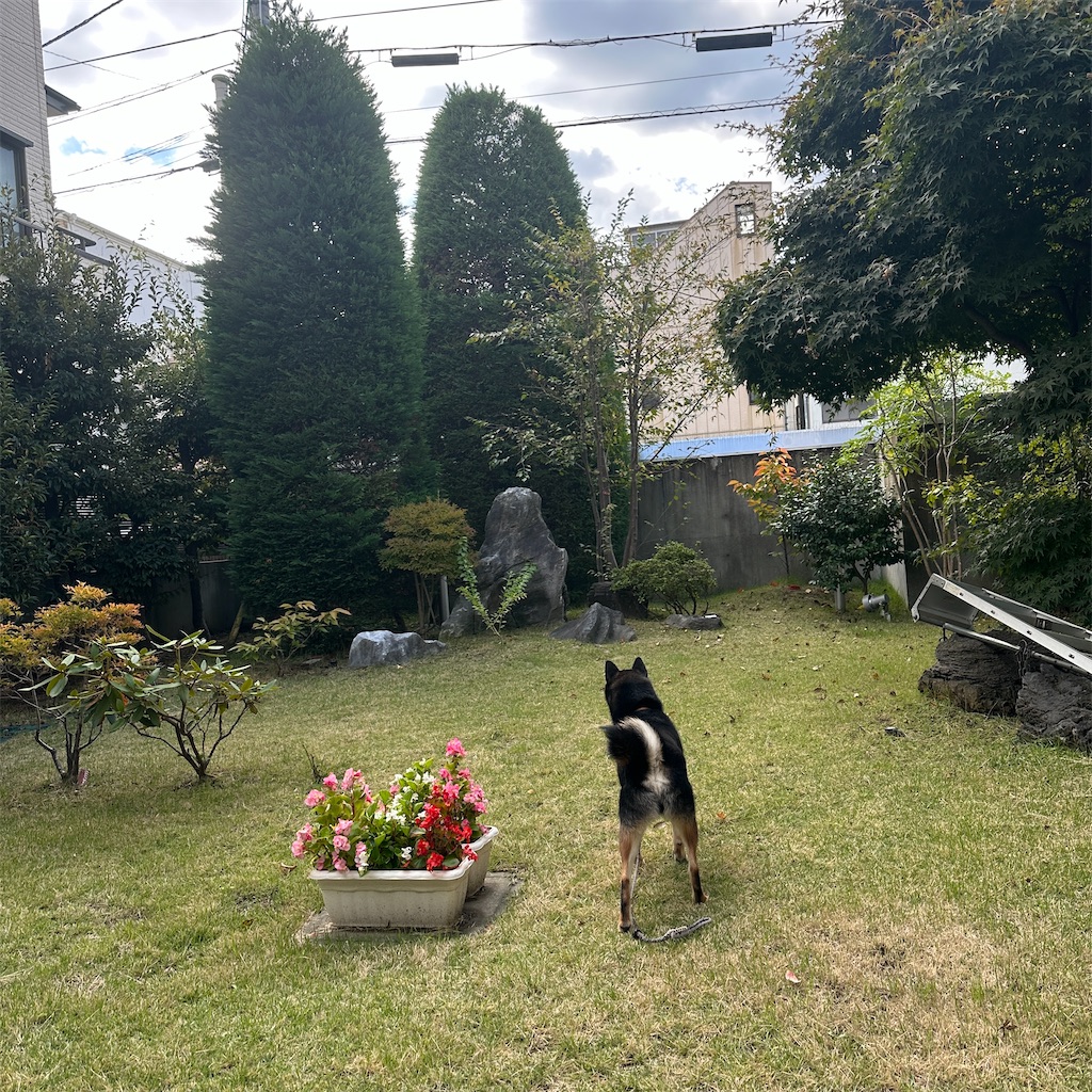 f:id:keikostyle:20251101143014j:image