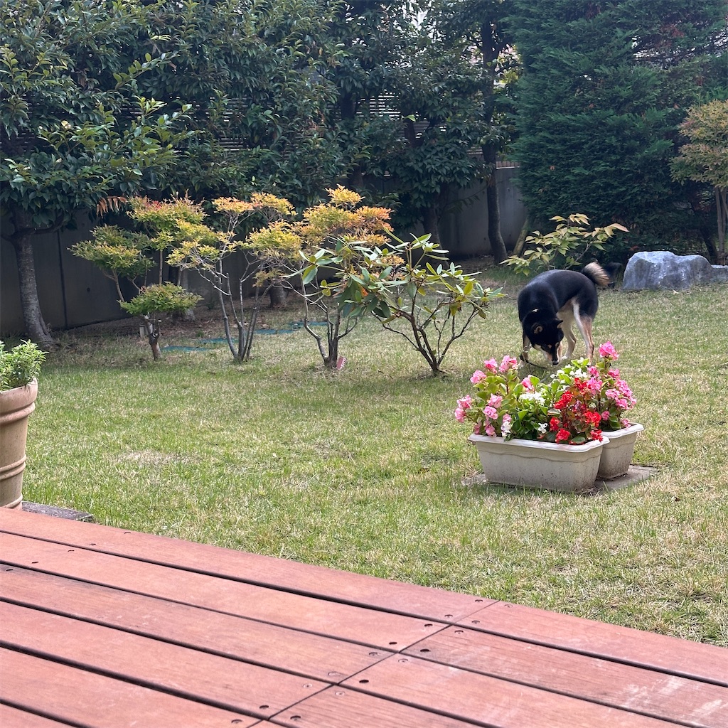 f:id:keikostyle:20251101143017j:image