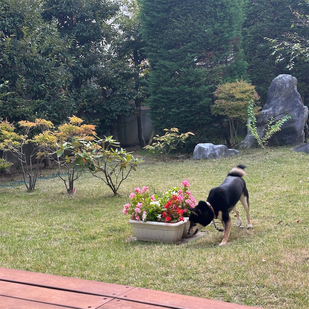 f:id:keikostyle:20251101143020j:image