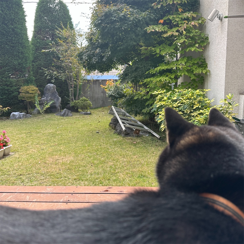 f:id:keikostyle:20251101143024j:image