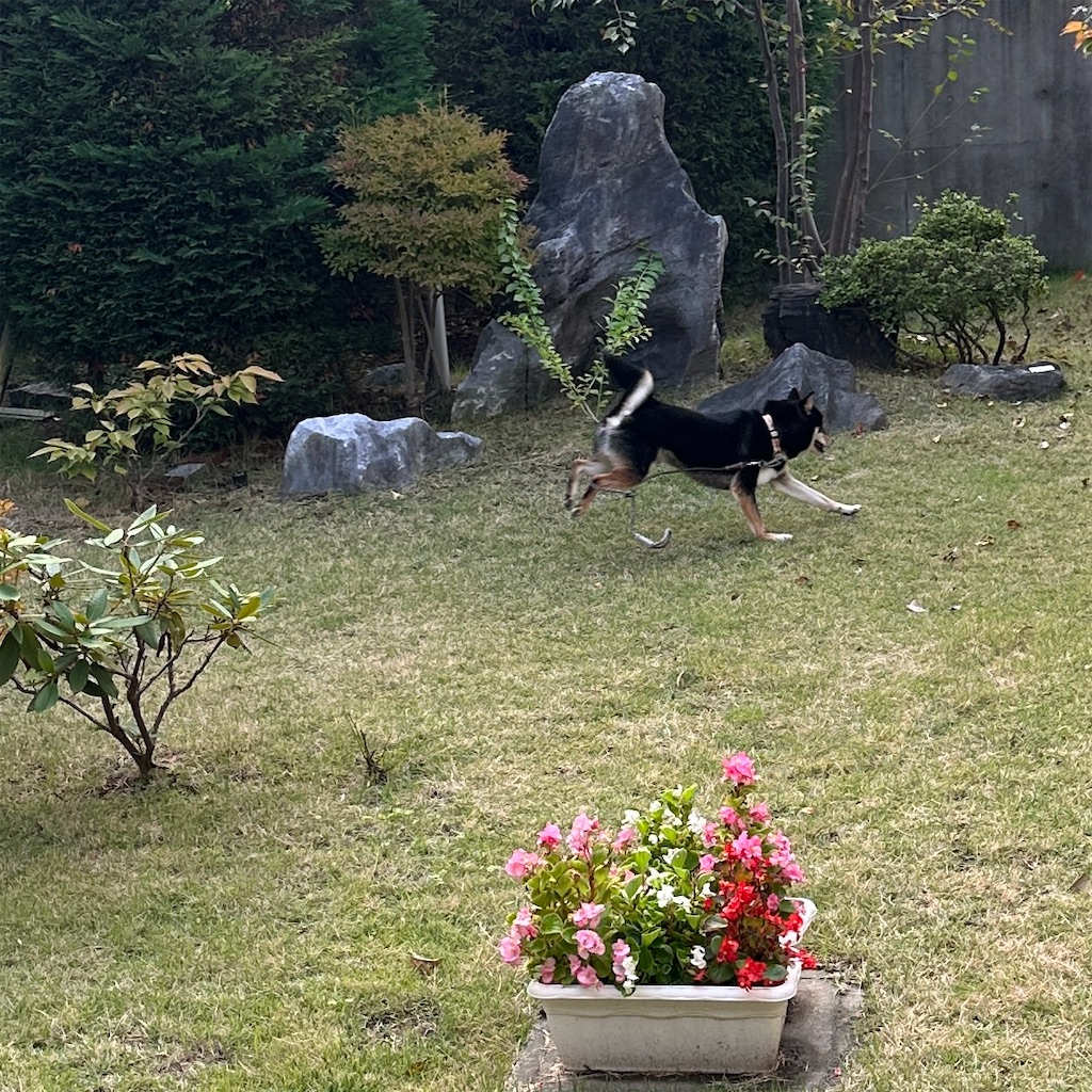 f:id:keikostyle:20251101143026j:image