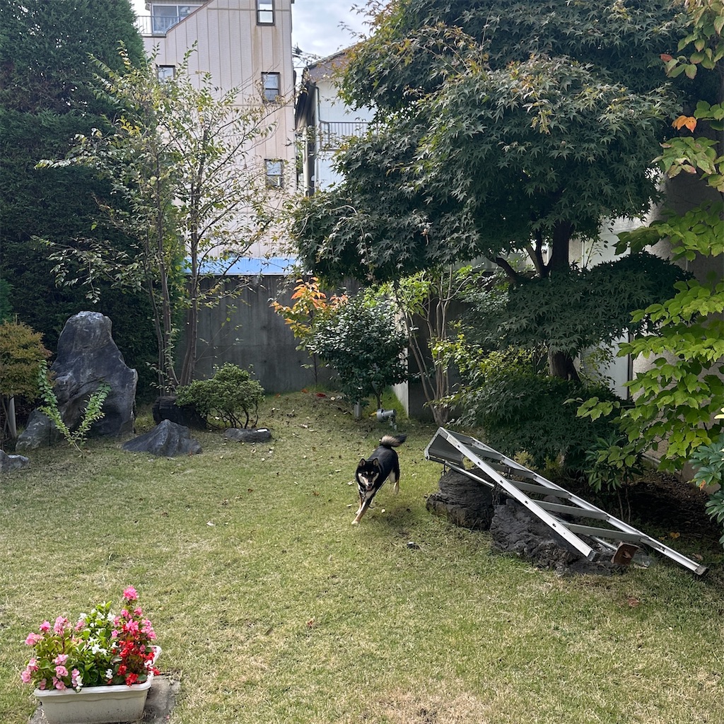 f:id:keikostyle:20251101143029j:image