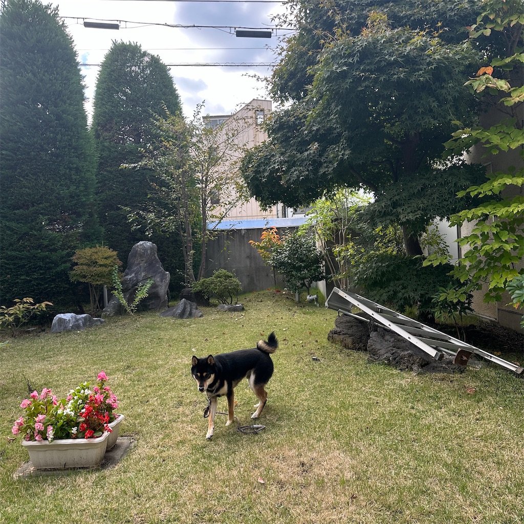 f:id:keikostyle:20251101143033j:image