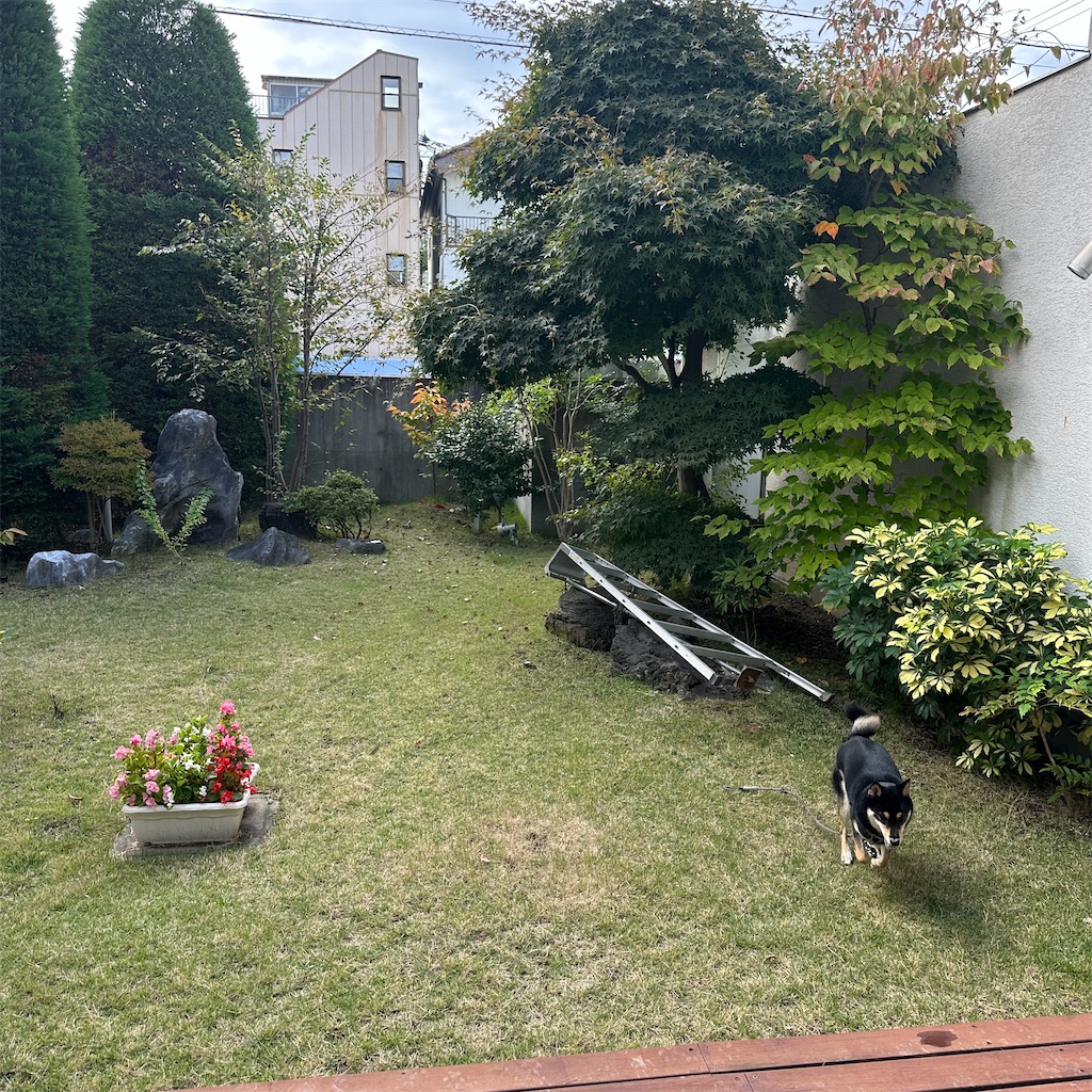 f:id:keikostyle:20251101143044j:image