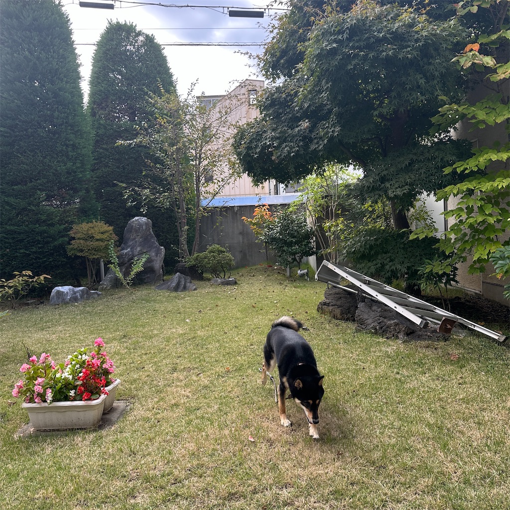 f:id:keikostyle:20251101143048j:image