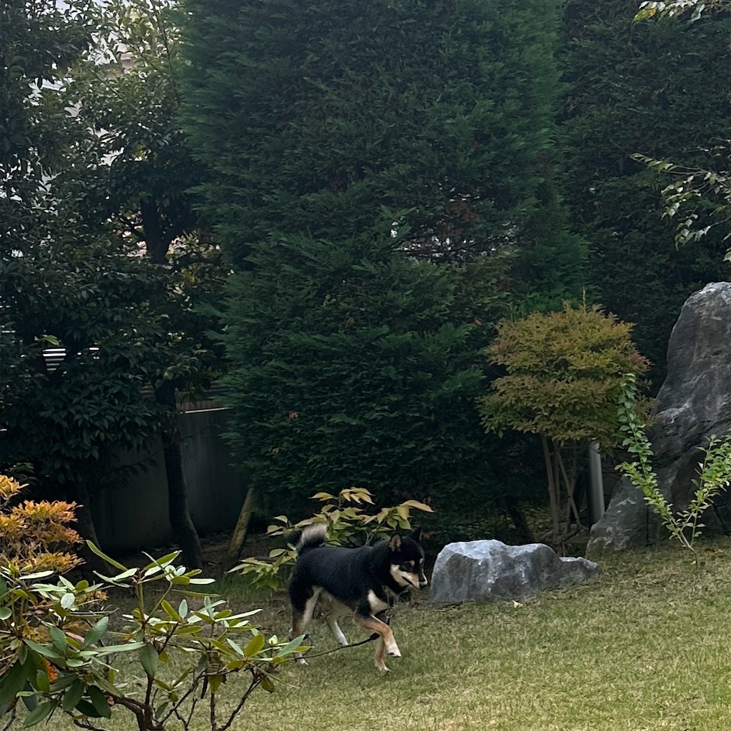 f:id:keikostyle:20251101143052j:image
