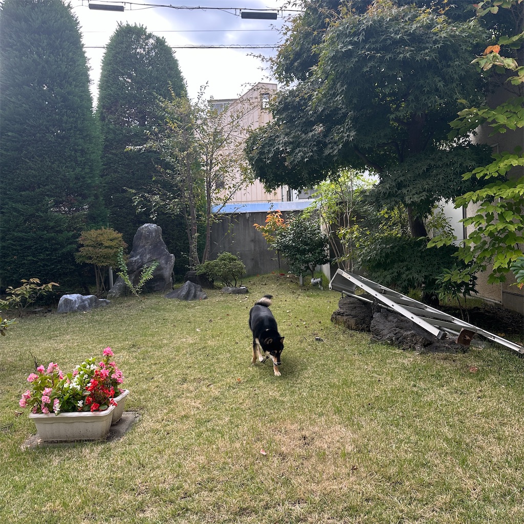 f:id:keikostyle:20251101143058j:image