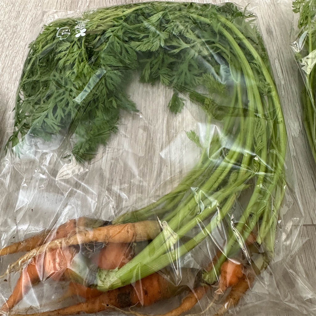 f:id:keikostyle:20251116131106j:image