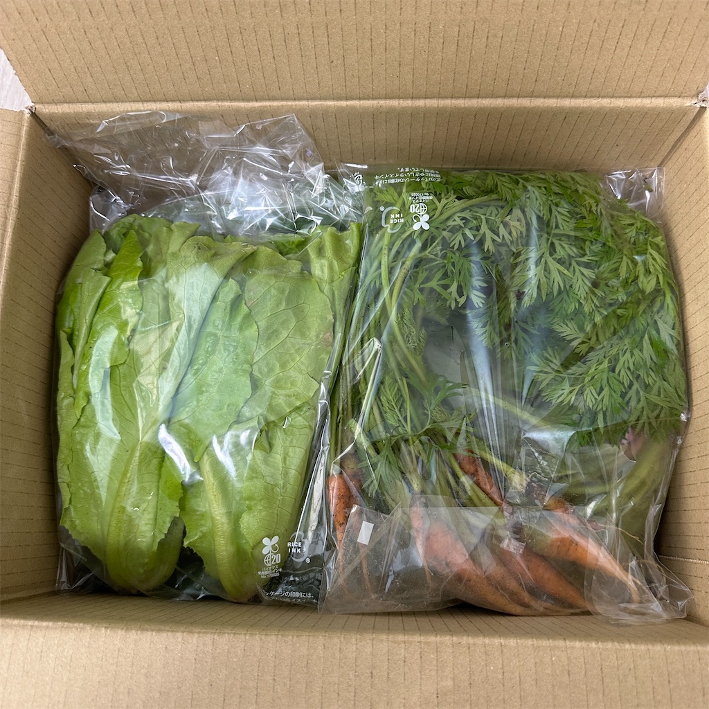 f:id:keikostyle:20251116131109j:image