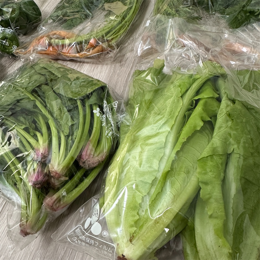 f:id:keikostyle:20251116131126j:image