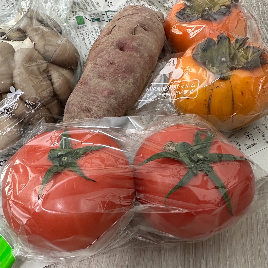 f:id:keikostyle:20251116131129j:image