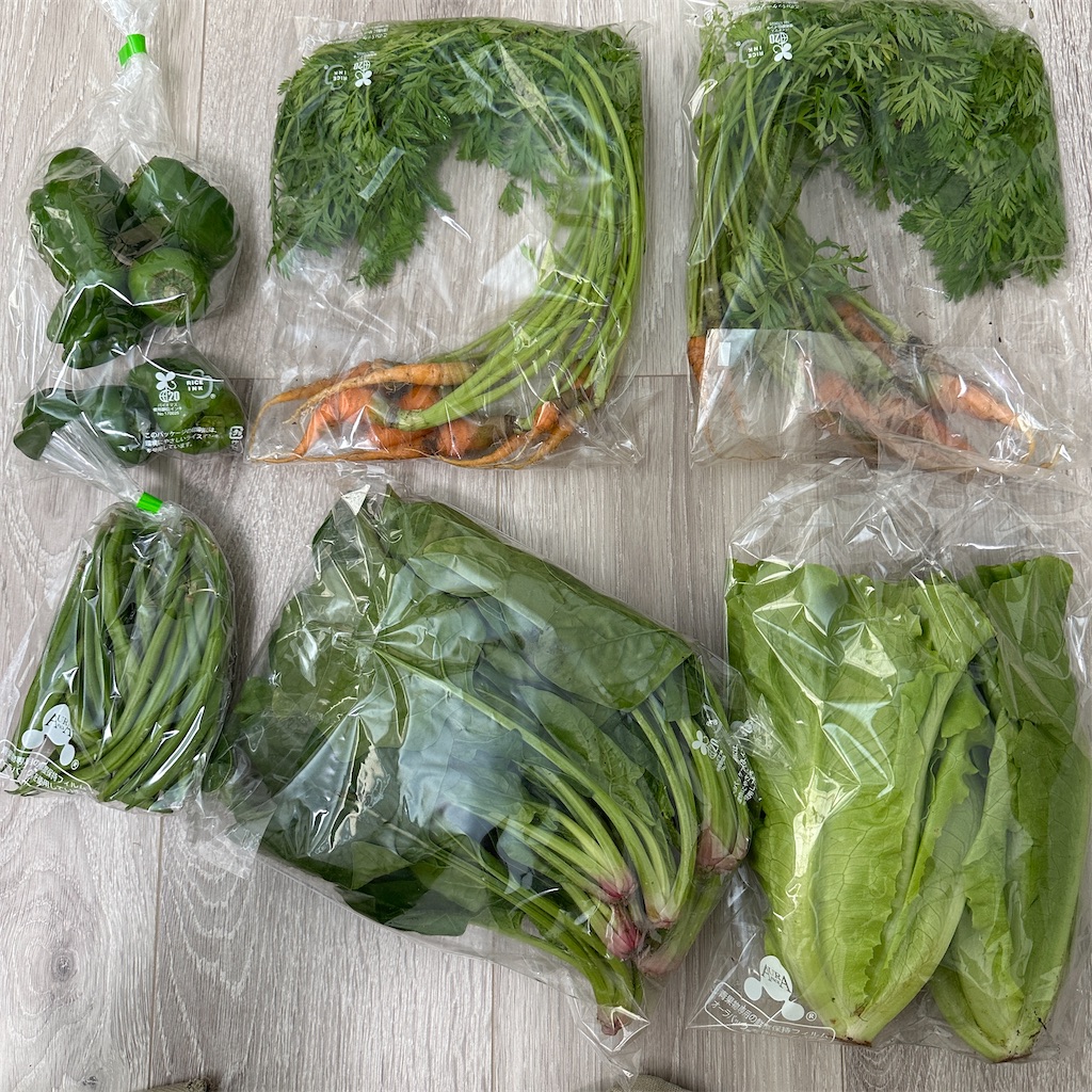 f:id:keikostyle:20251116131140j:image