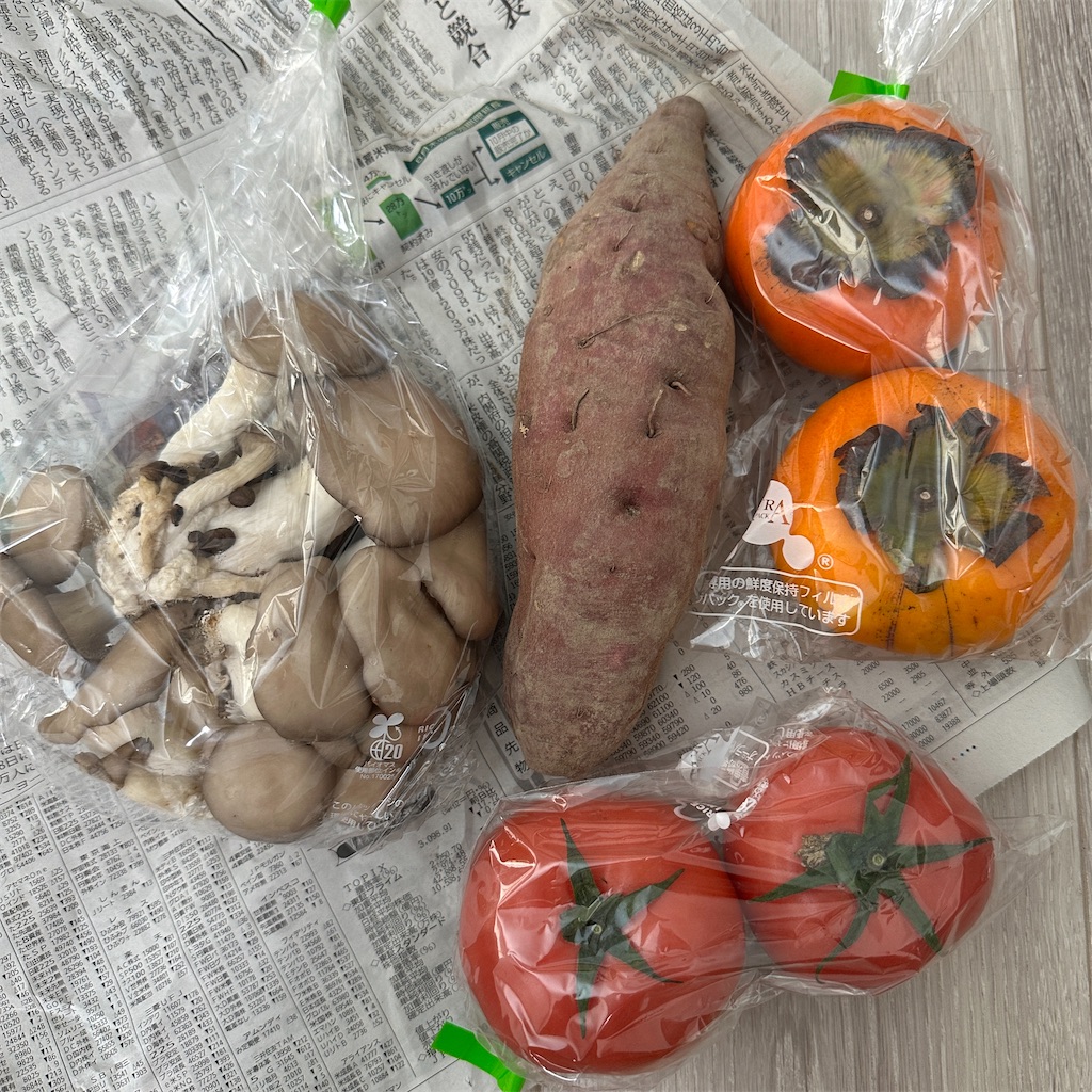 f:id:keikostyle:20251116131147j:image