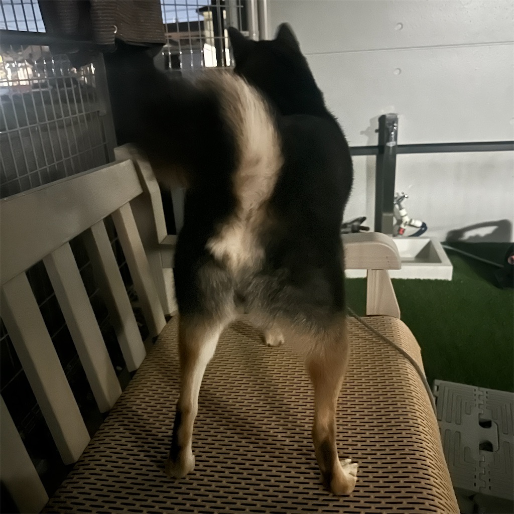 f:id:keikostyle:20251120192346j:image