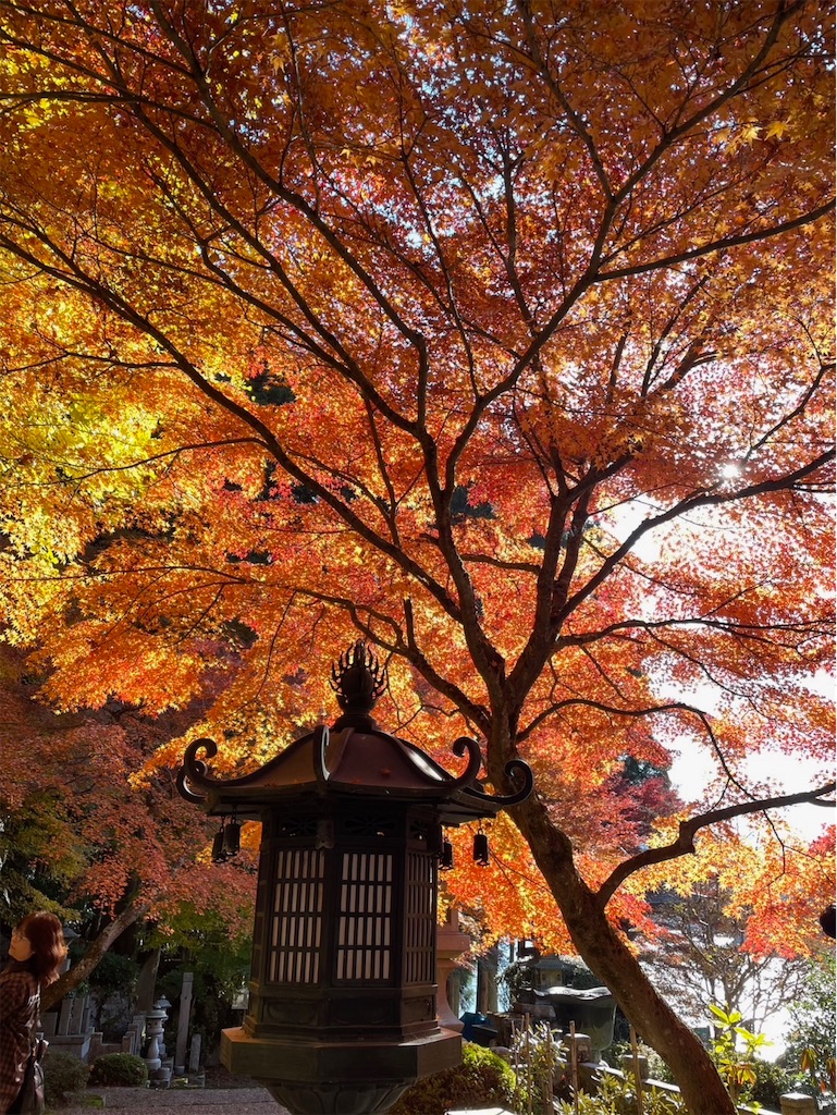 f:id:keikostyle:20251122083607j:image