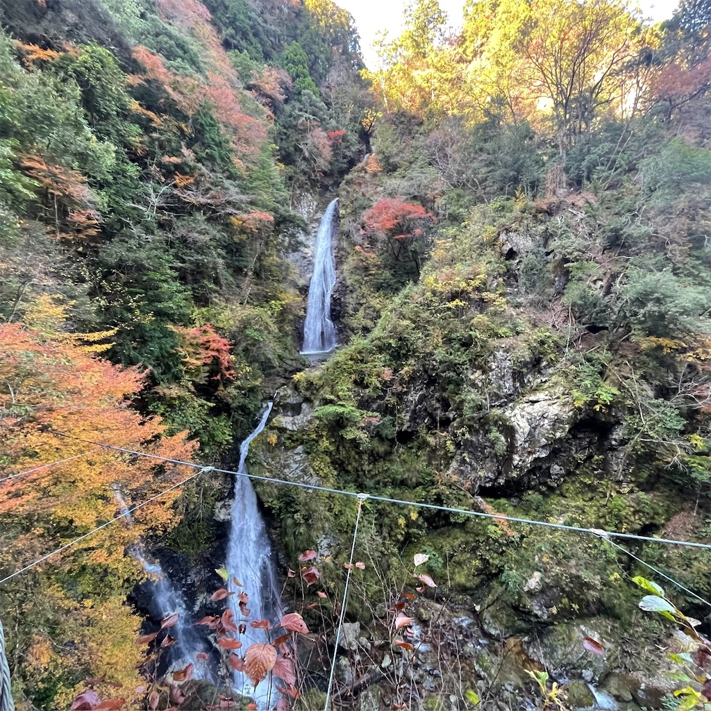 f:id:keikostyle:20251122083609j:image