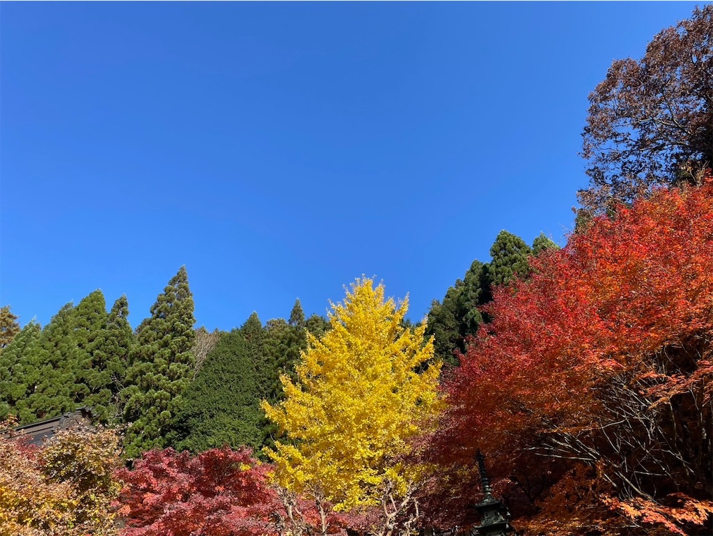 f:id:keikostyle:20251122083612j:image